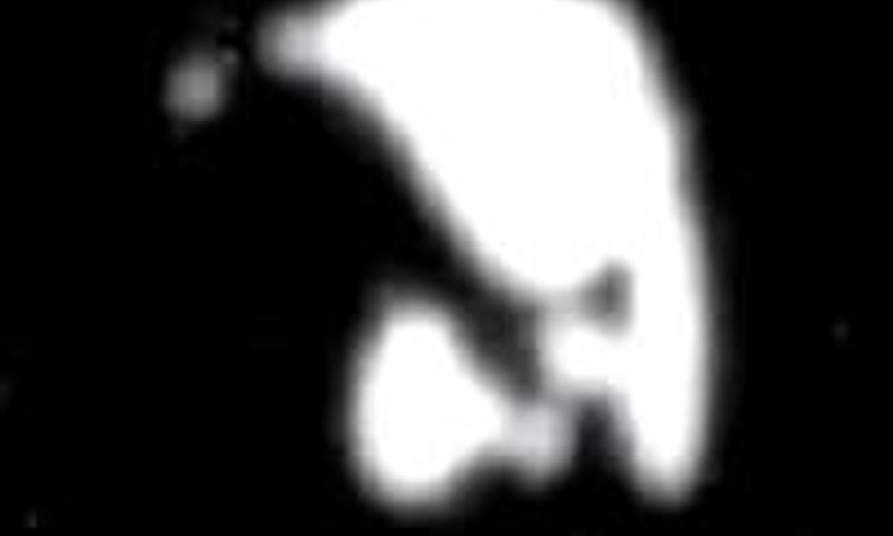 header image for Monkeyshines, No. 1