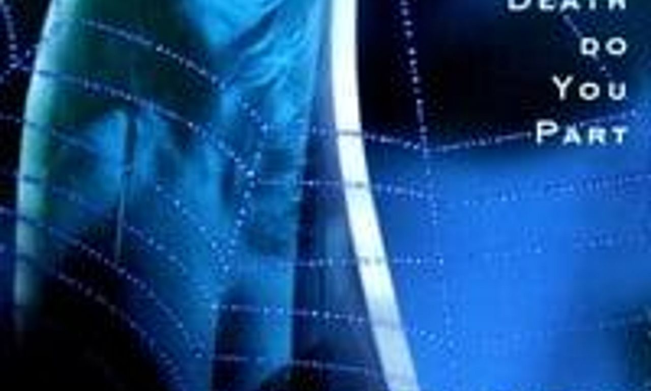 header image for Black Widow Escort