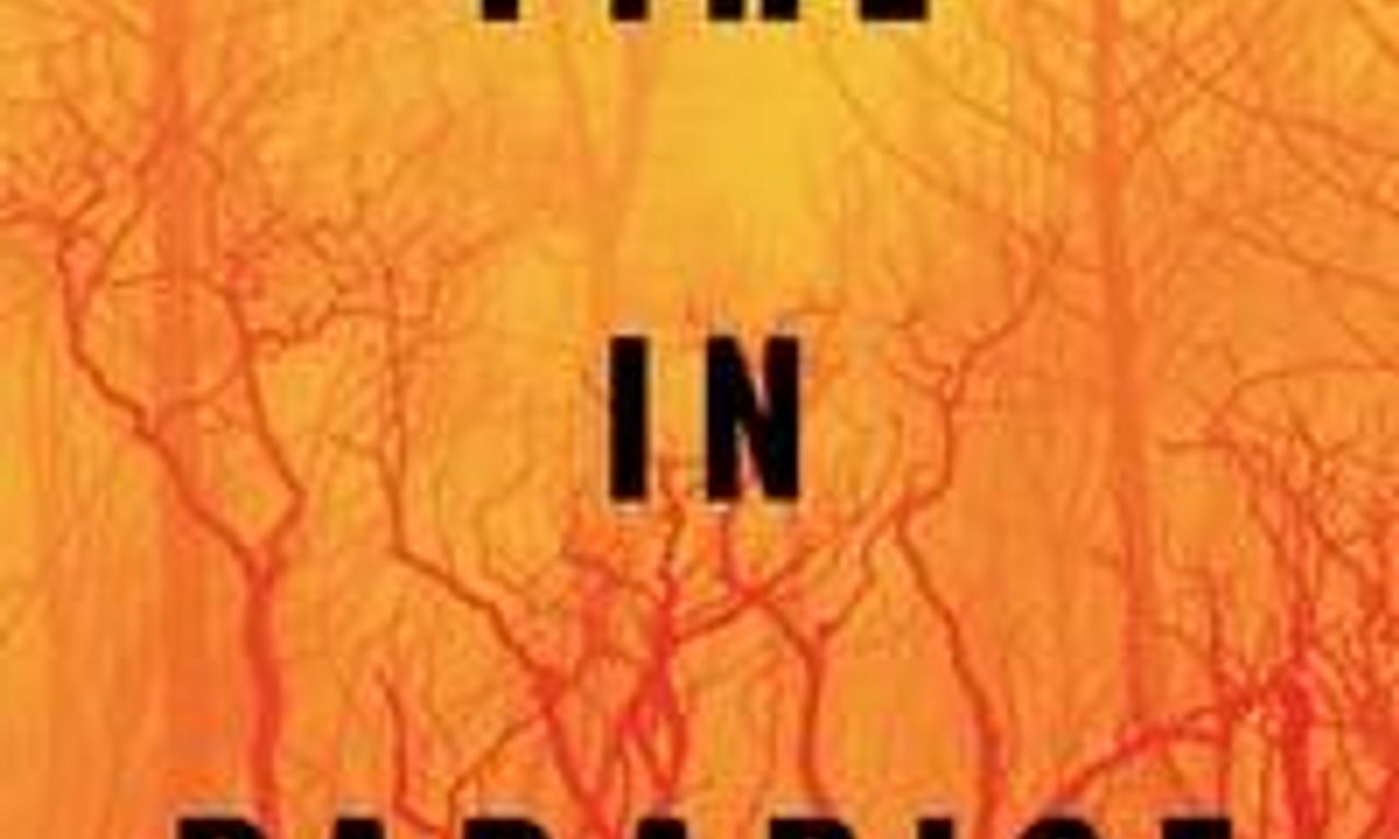 header image for Fire in Paradise