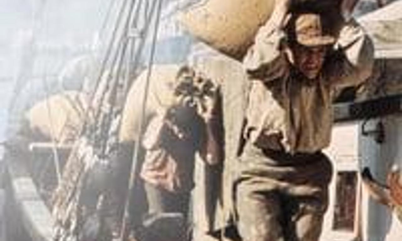 header image for City of My Dreams