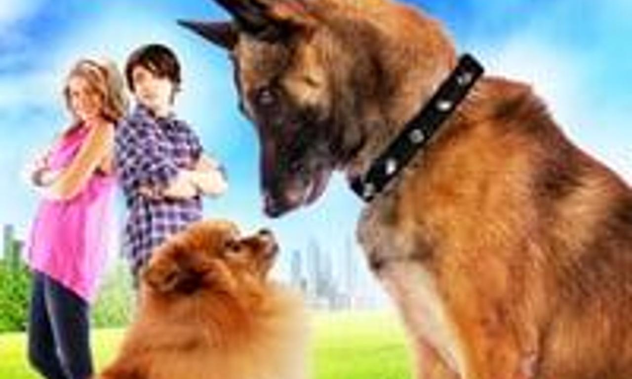 header image for Step Dogs