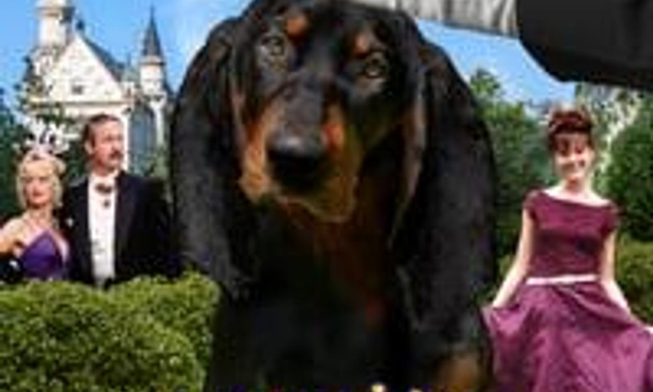 header image for The Duke