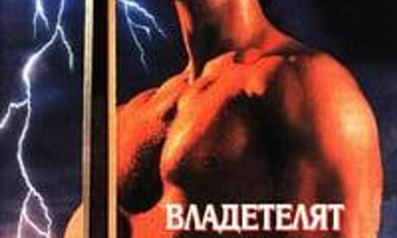 header image for The Swordsman