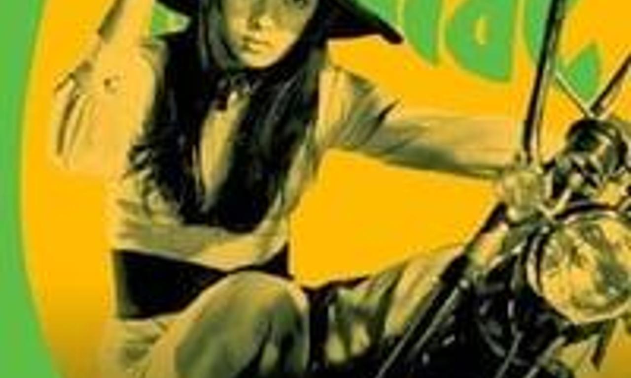 header image for Stray Cat Rock: Machine Animal