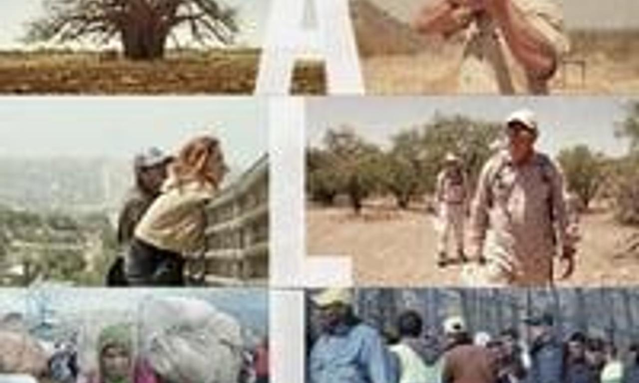 header image for Walls