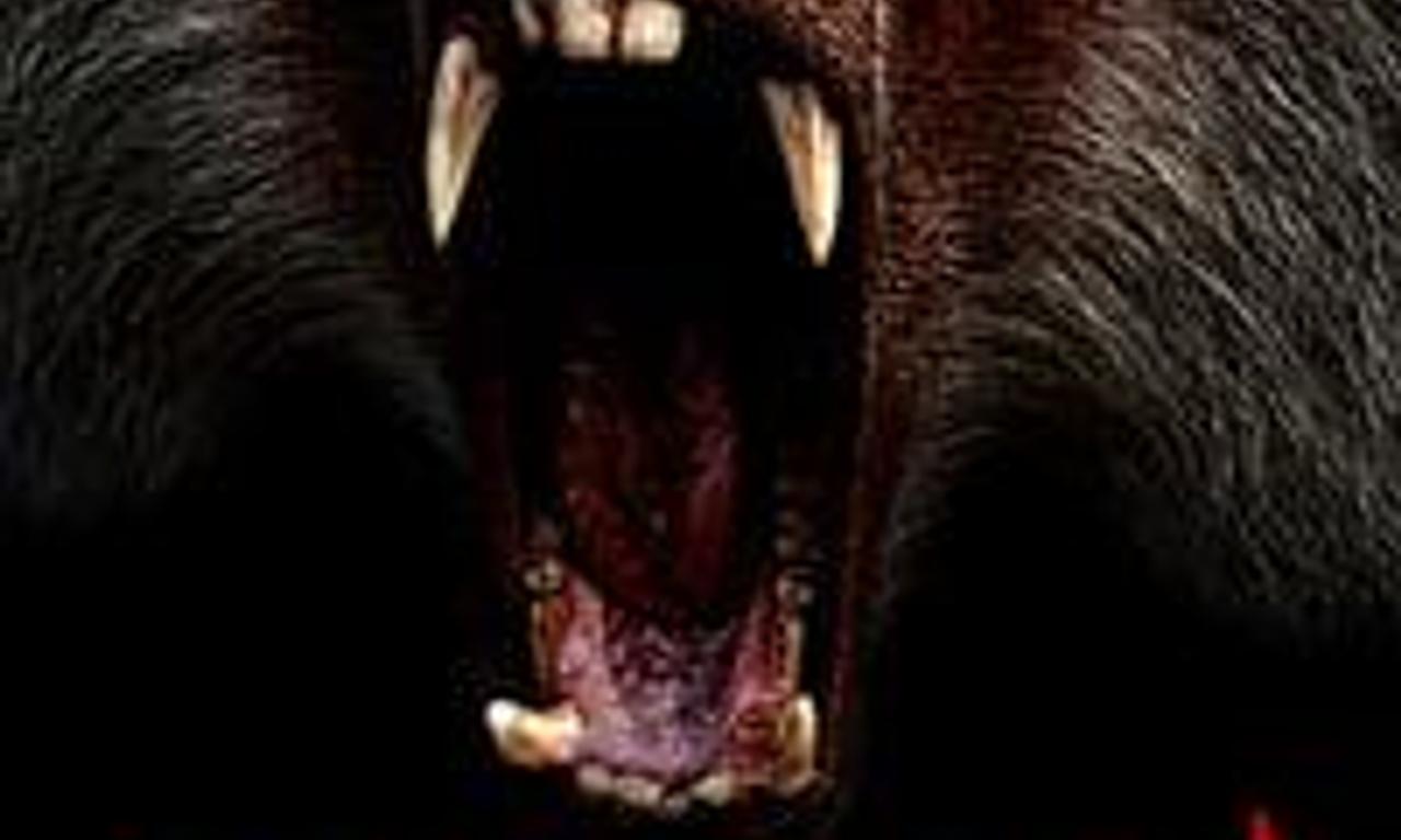 header image for Shakma