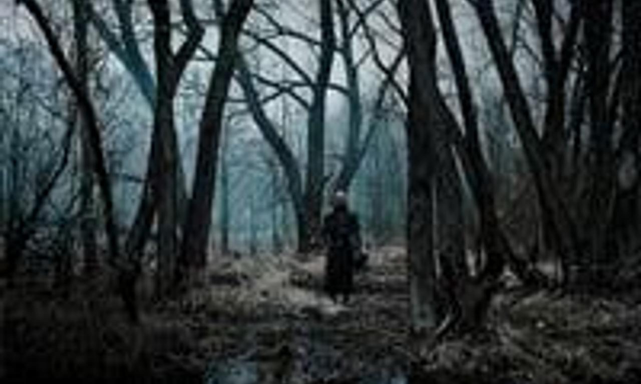 header image for Sauna