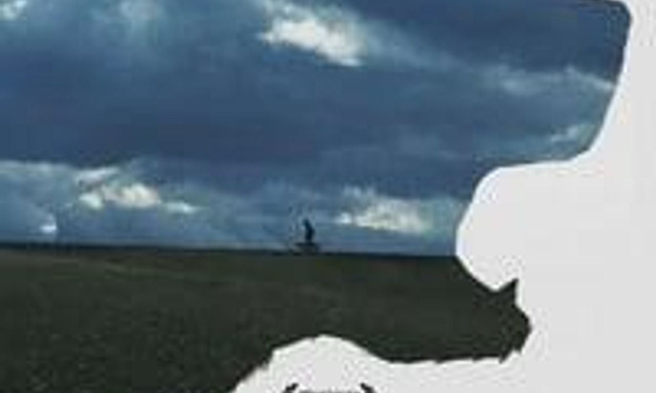 header image for The Shepherd