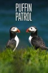 Puffin Patrol