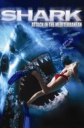 Shark Attack in the Mediterranean