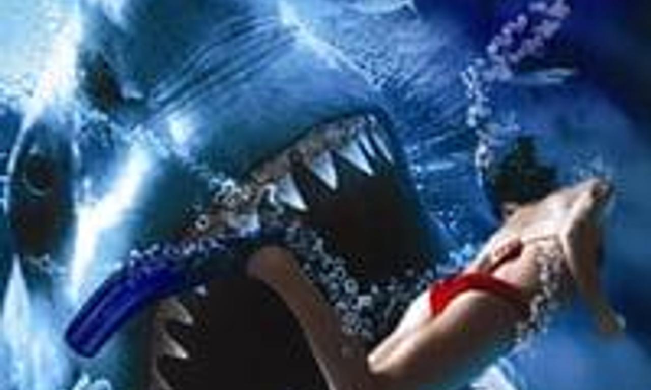 header image for Shark Attack in the Mediterranean