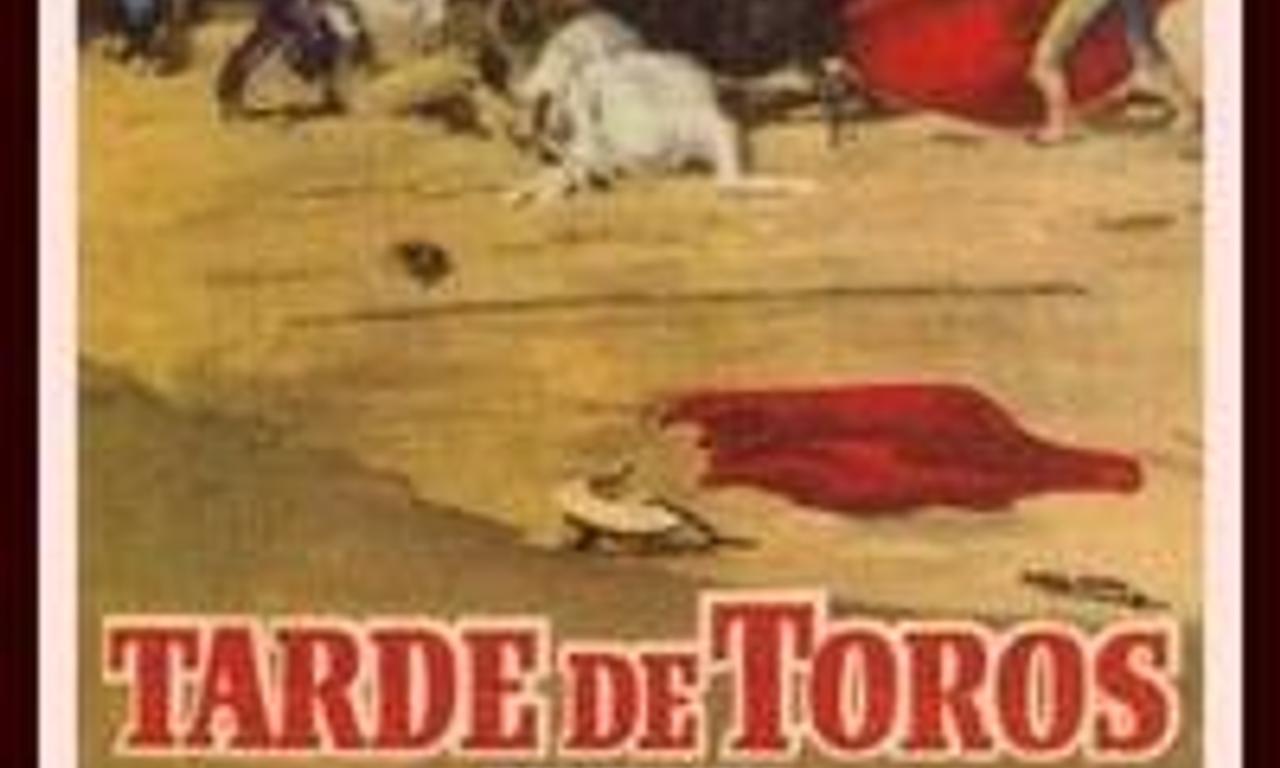 header image for Afternoon at the Bulls