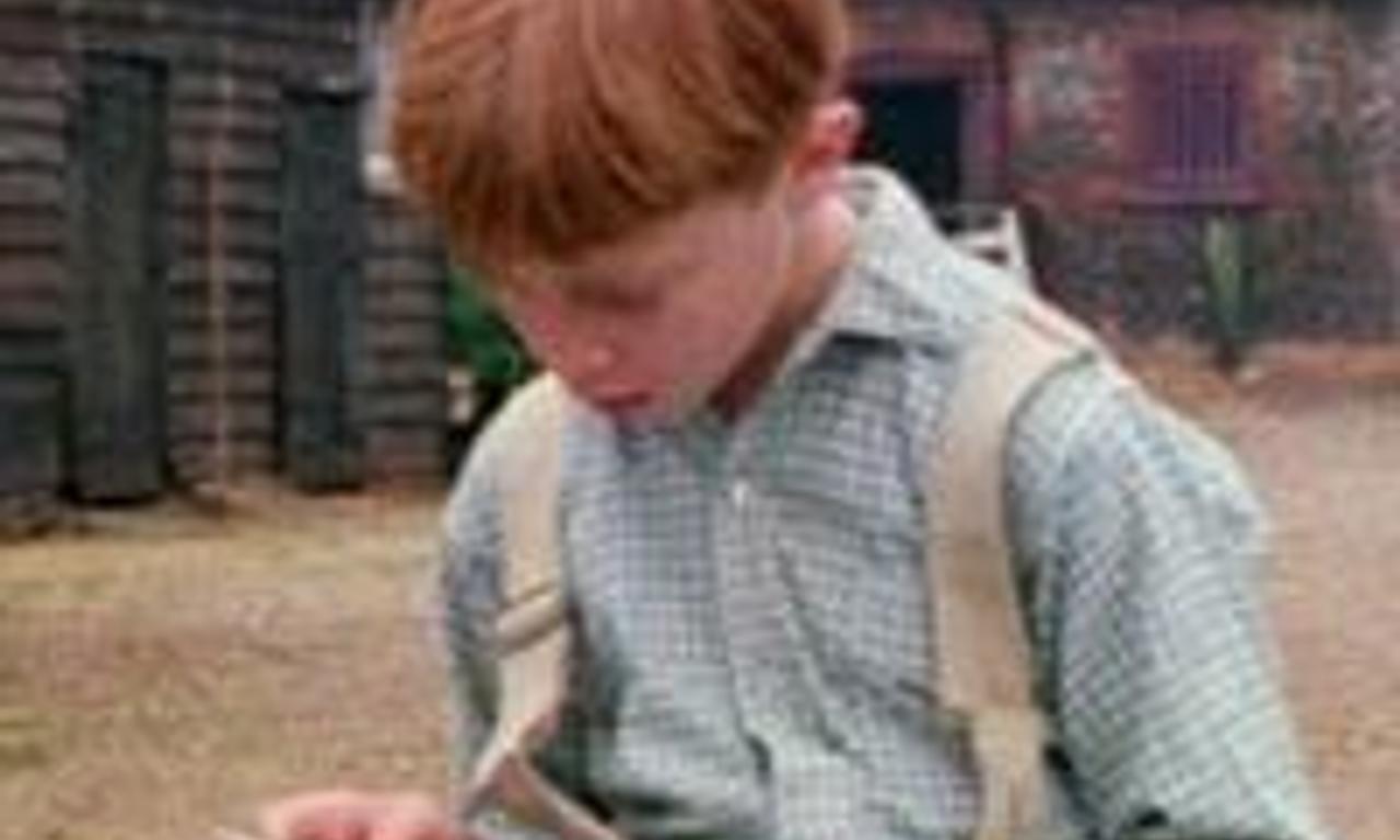 header image for Friend or Foe