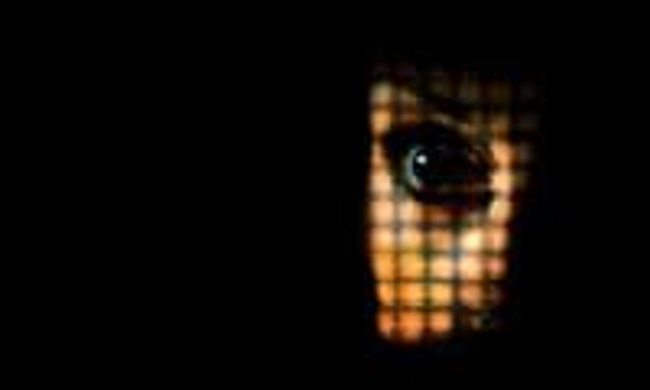 header image for The Stranger