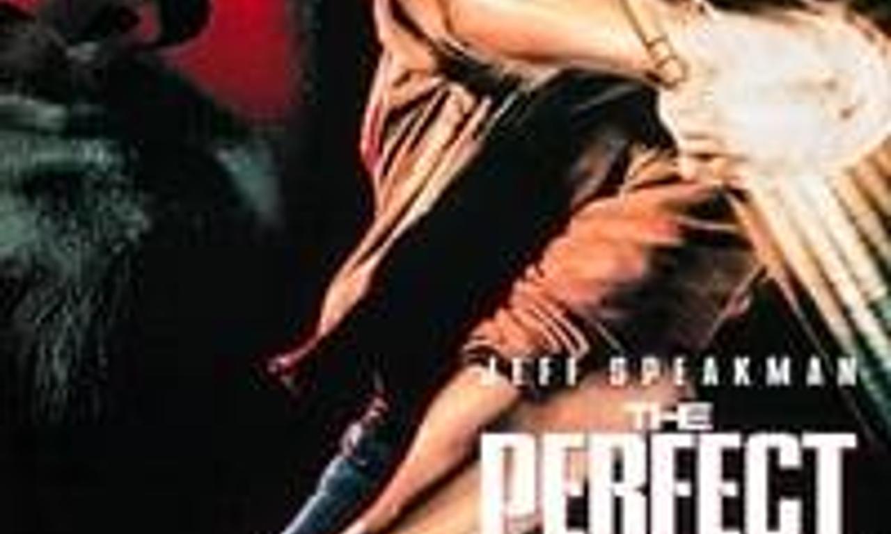 header image for The Perfect Weapon