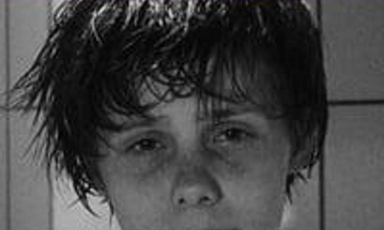 header image for A Bagful of Fleas