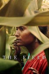 The Field