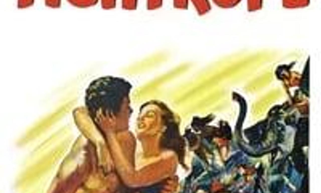 header image for Man on a Tightrope