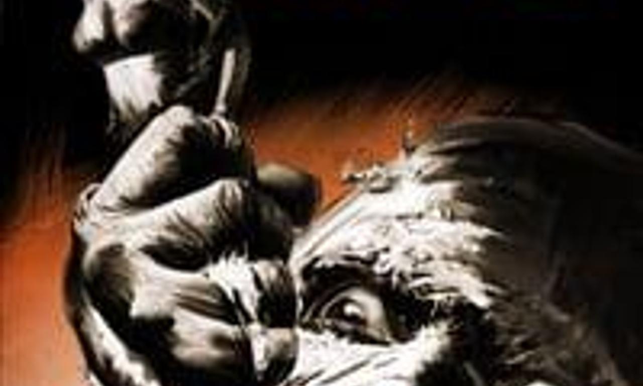 header image for The Mummy's Shroud