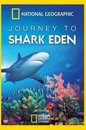 Journey to Shark Eden