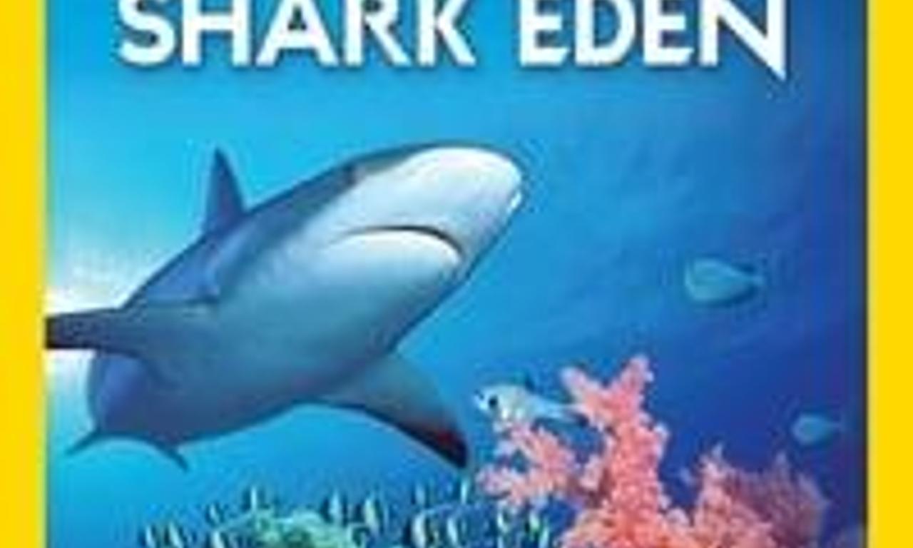 header image for Journey to Shark Eden