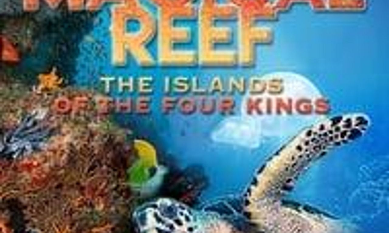 header image for Magical Reef: The Islands of the Four Kings