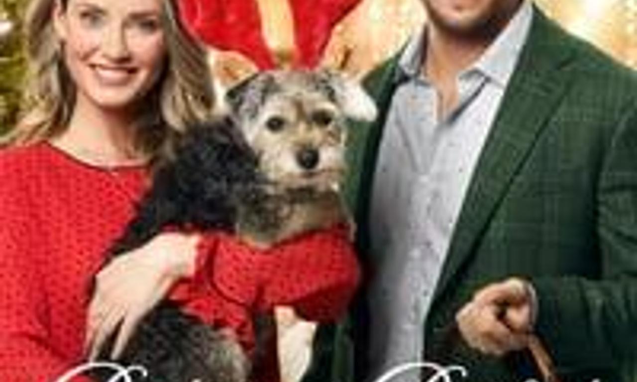 header image for Picture a Perfect Christmas