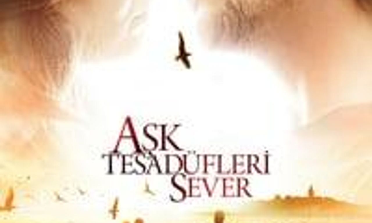 header image for Love Likes Coincidences