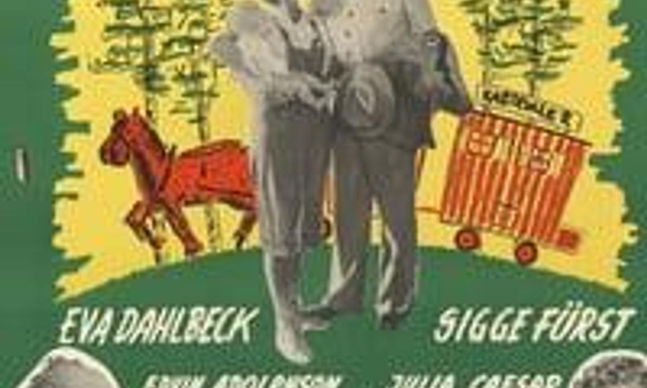 header image for The Pot Journey