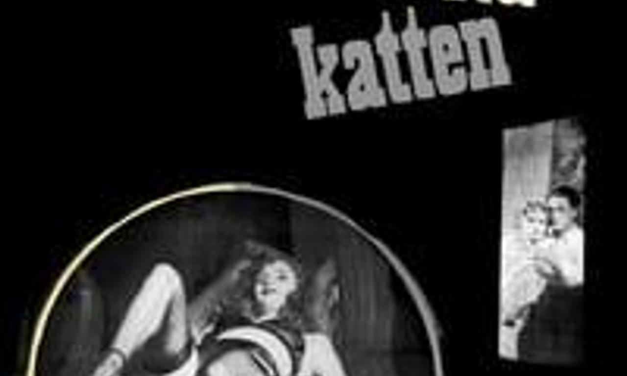 header image for The White Cat