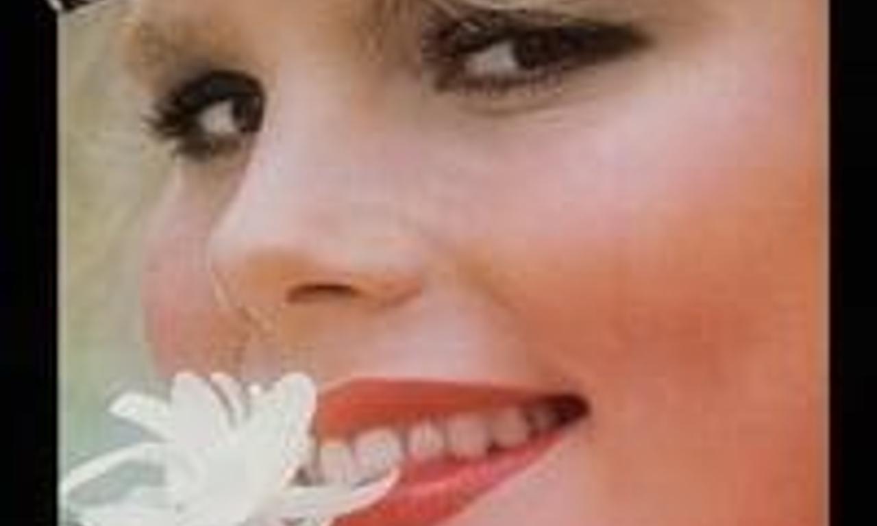 header image for Star 80