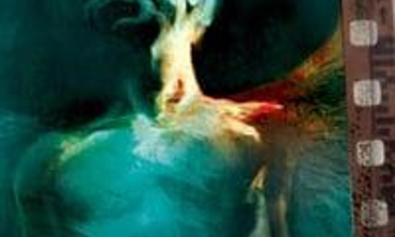 header image for Cigarette Burns