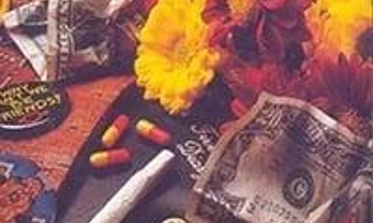 header image for Go Ask Alice