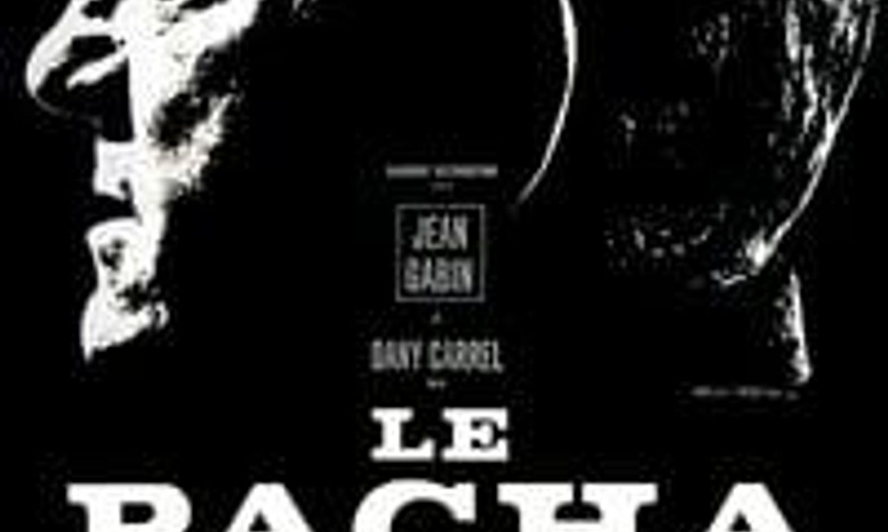 header image for Pasha