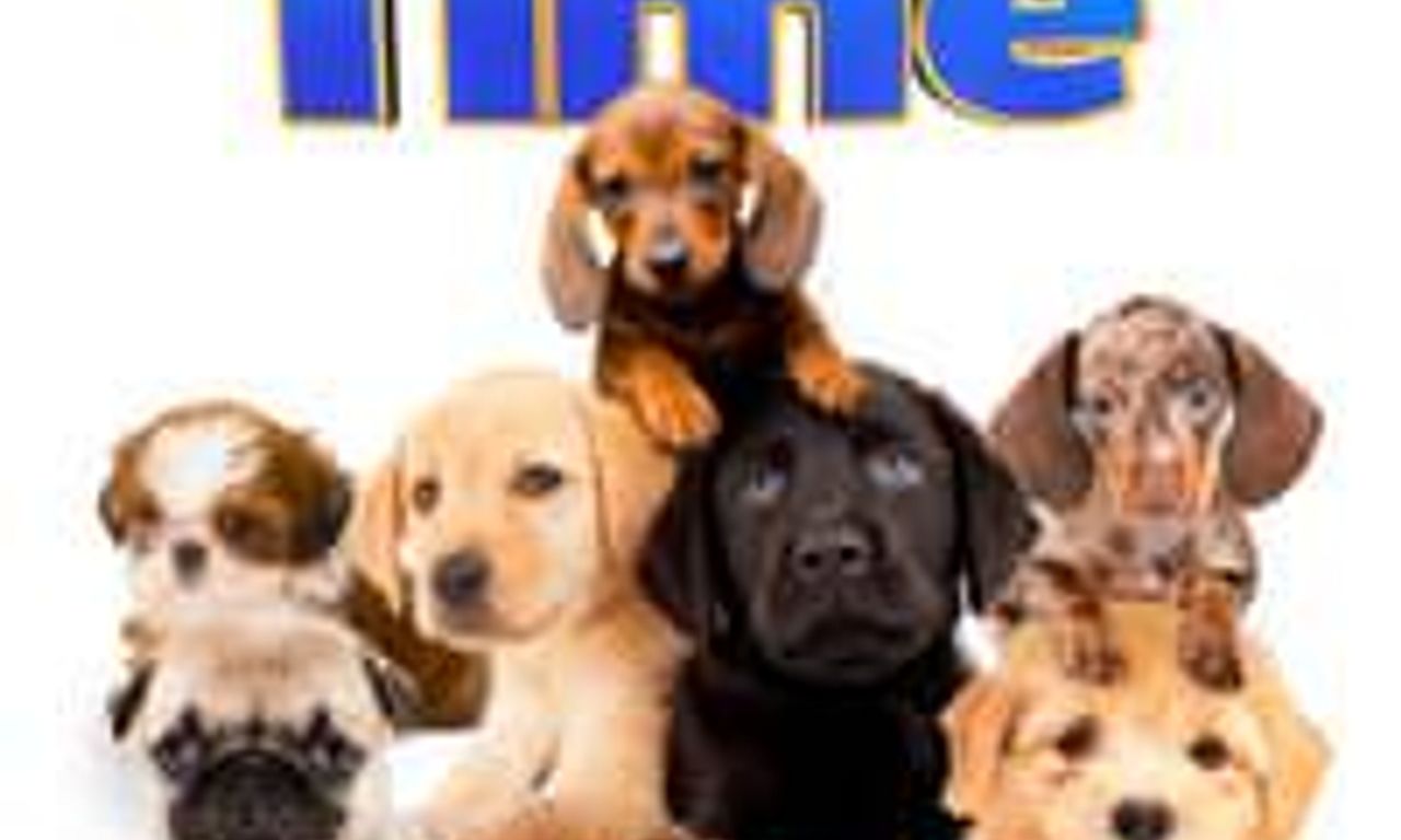 header image for Puppy Time!