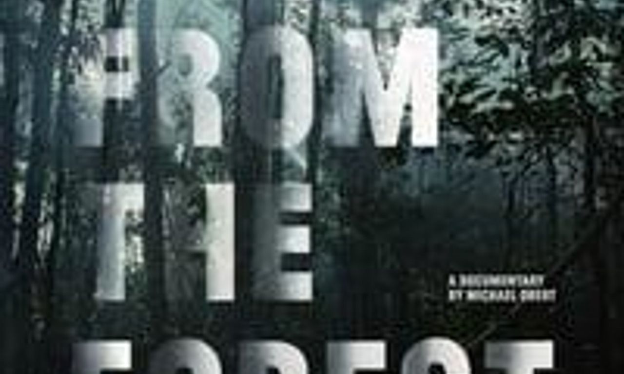 header image for Song from the Forest