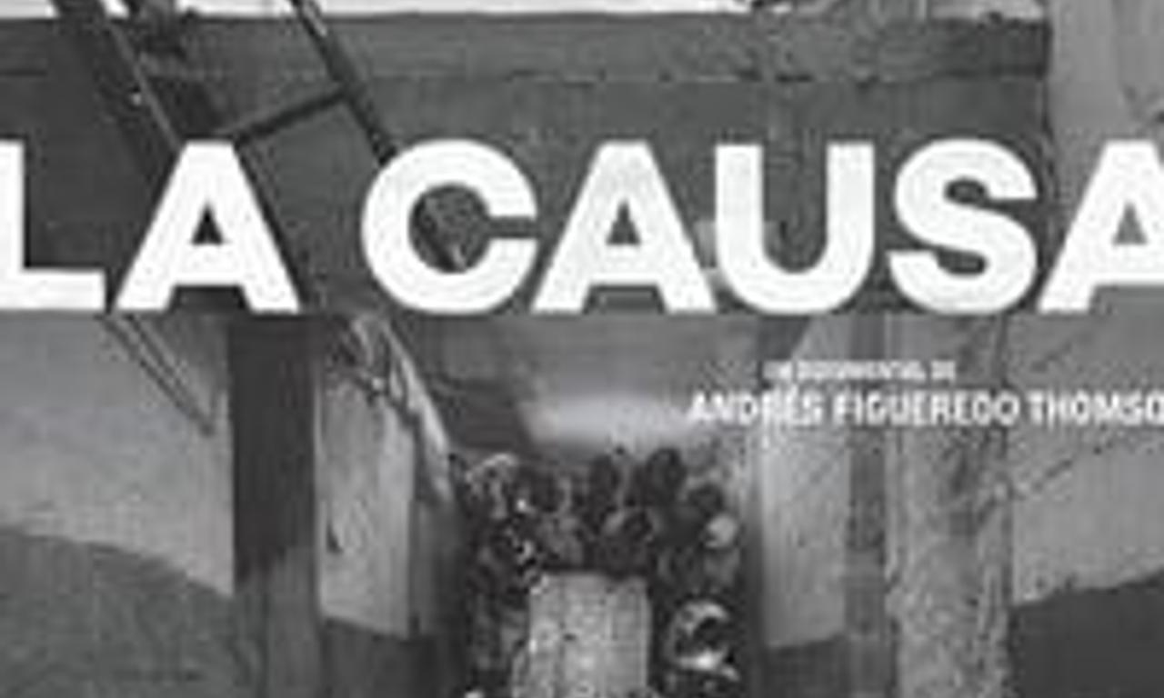header image for The Cause