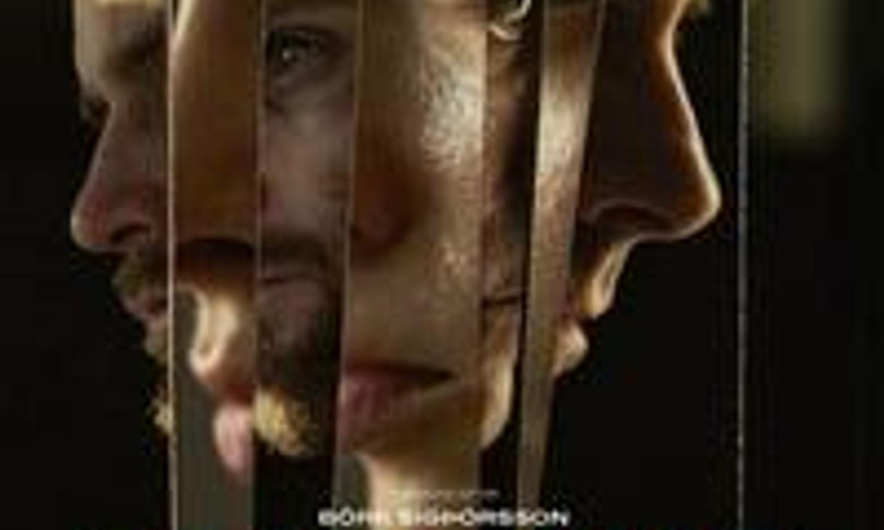 header image for Vultures