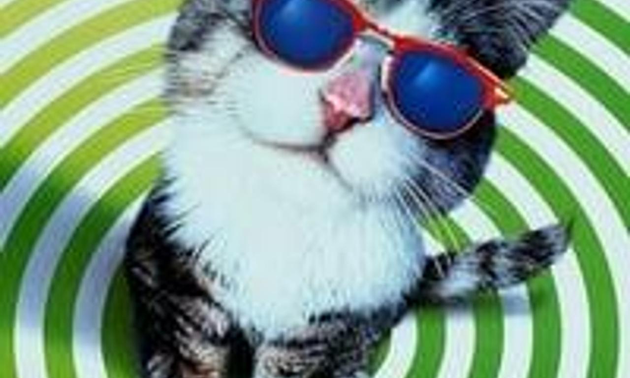 header image for That Darn Cat