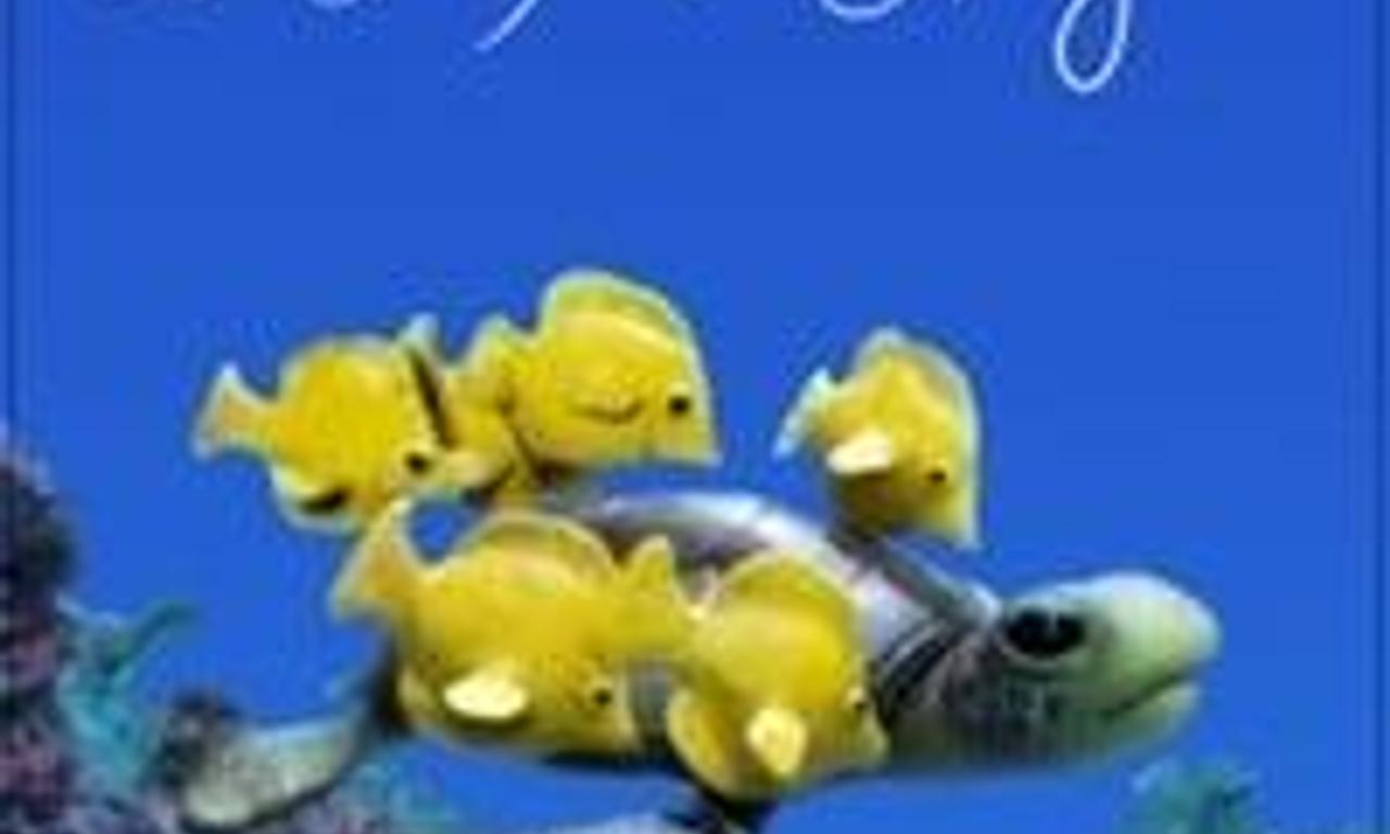 header image for A Sea Turtle Story