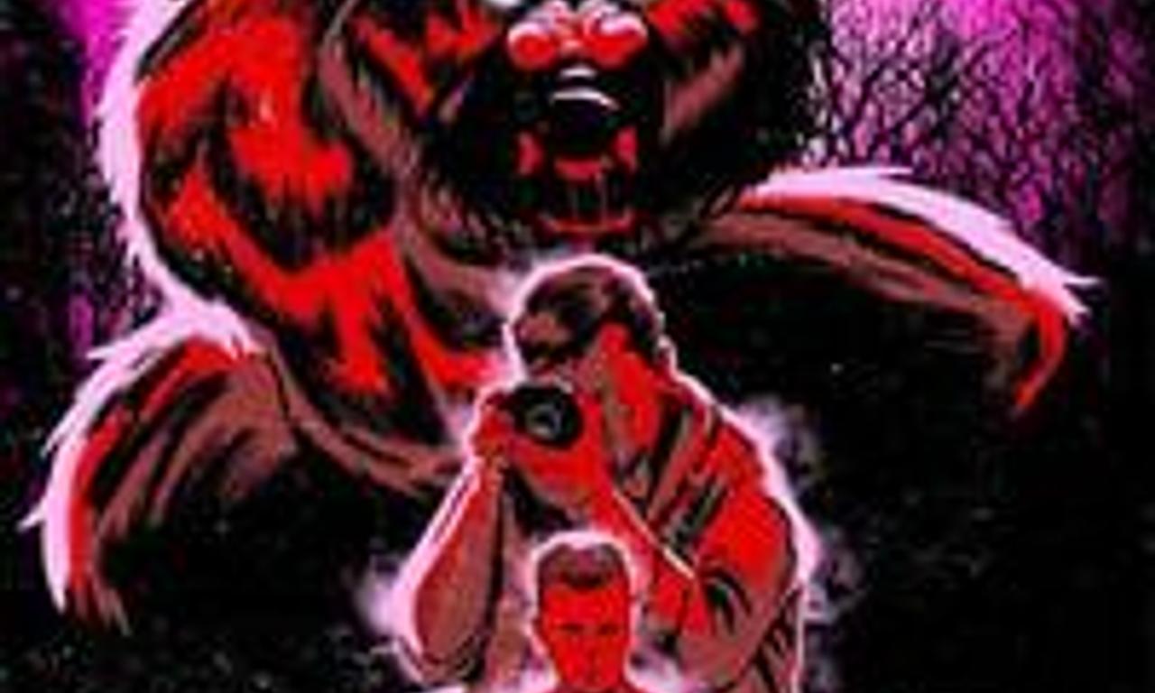 header image for Night Howl