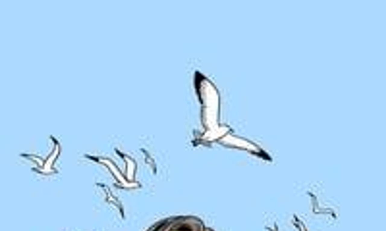 header image for Smoking / No Smoking