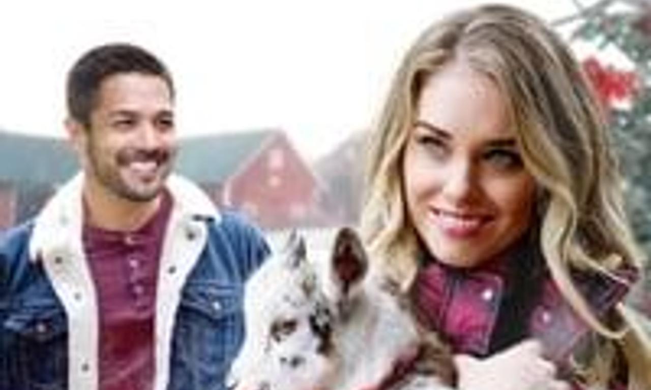 header image for Lonestar Christmas