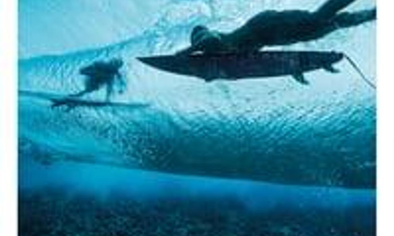 header image for Proximity