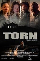 Torn: Dark Bullets