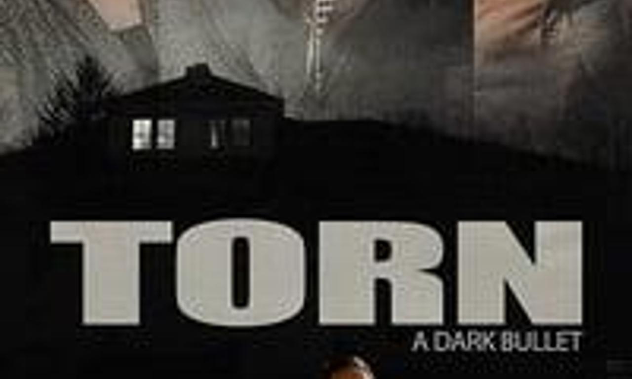 header image for Torn: Dark Bullets
