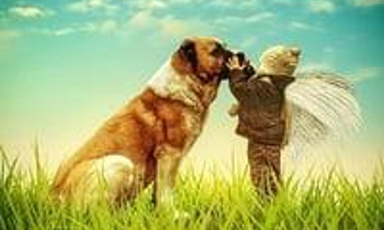 header image for Ernie & Cerbie