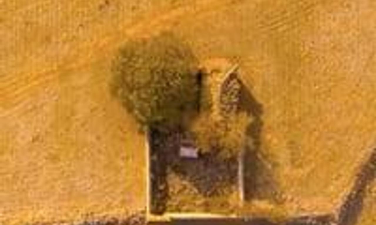 header image for Zaniki