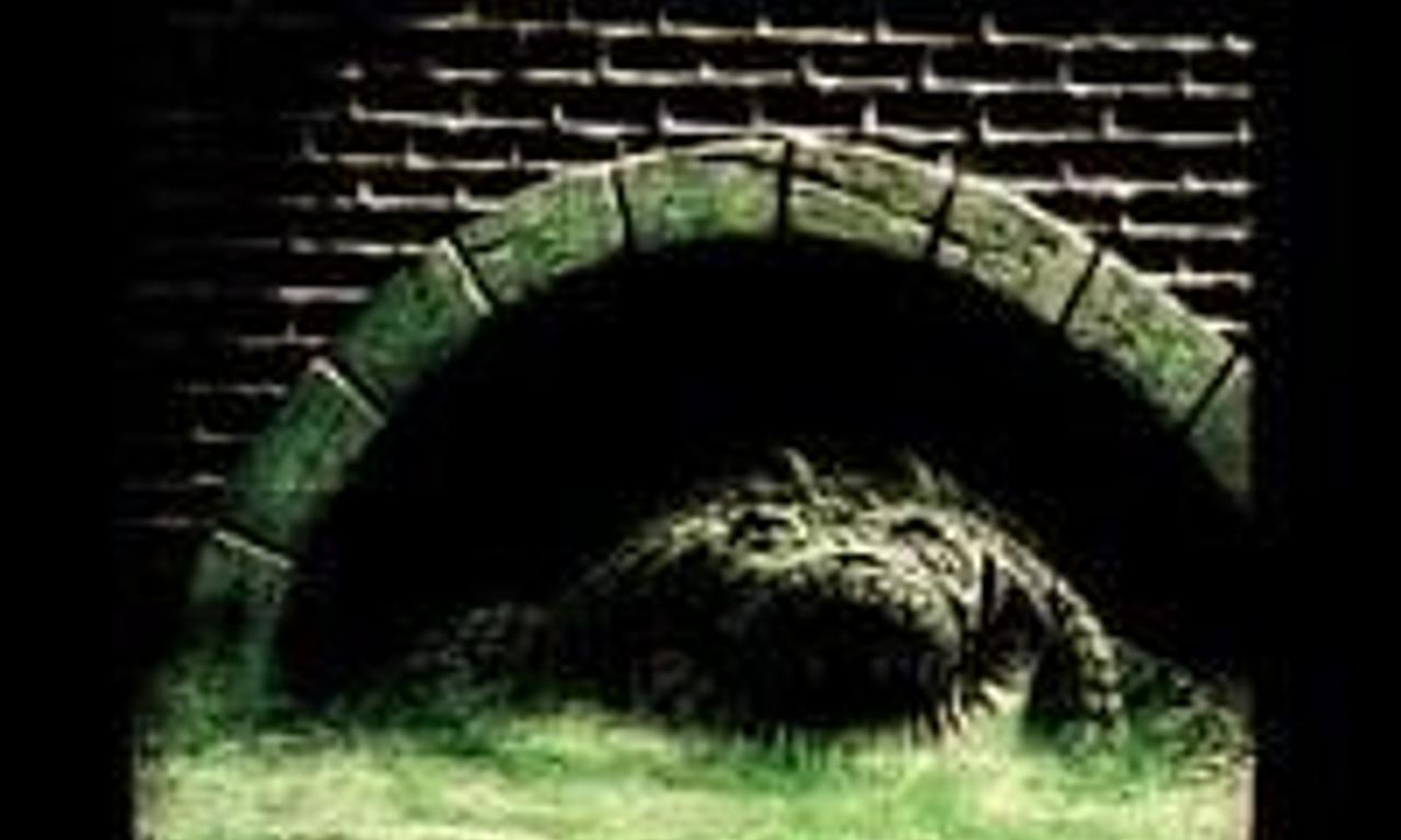 header image for Alligator