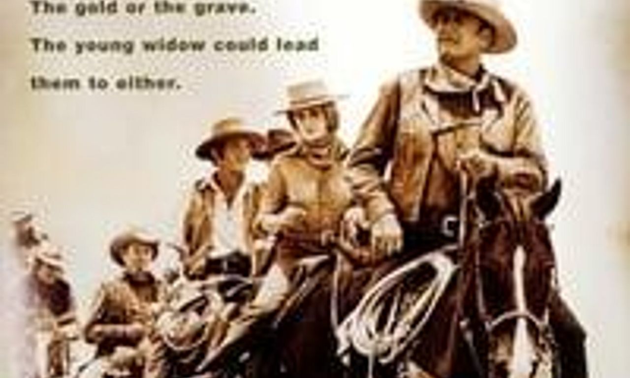 header image for The Train Robbers